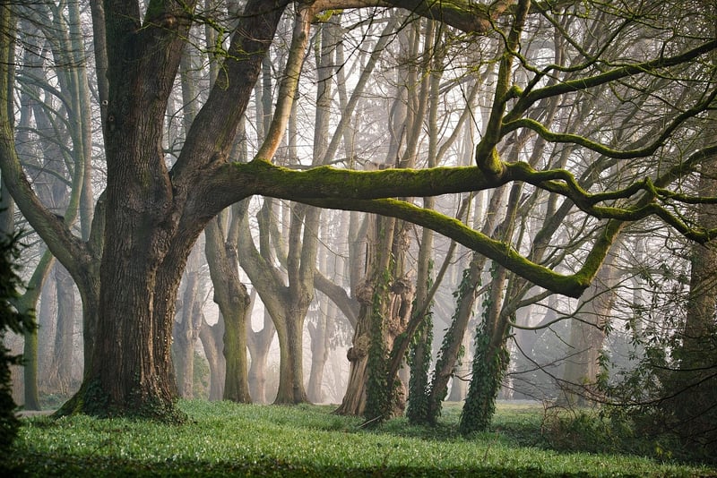 Fairy-tale Landscapes